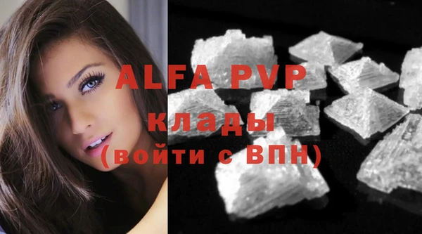 ГАЛЛЮЦИНОГЕННЫЕ ГРИБЫ Тавда