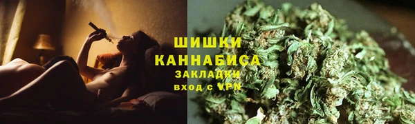 ГАЛЛЮЦИНОГЕННЫЕ ГРИБЫ Тавда