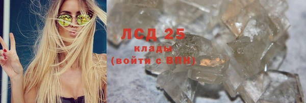 ГАЛЛЮЦИНОГЕННЫЕ ГРИБЫ Тавда