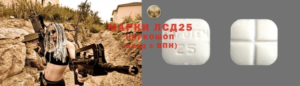 ГАЛЛЮЦИНОГЕННЫЕ ГРИБЫ Тавда