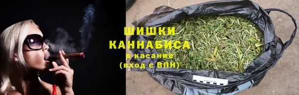 ГАЛЛЮЦИНОГЕННЫЕ ГРИБЫ Тавда